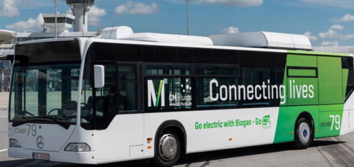 Grün Bus